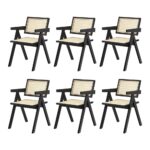 Oikiture 6x Dining Chairs Rattan Chair Wooden Balck